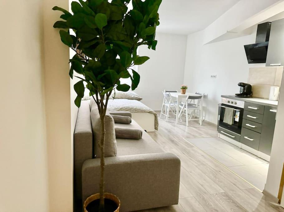 Easy Suites - Free Underground Parking Відень Екстер'єр фото